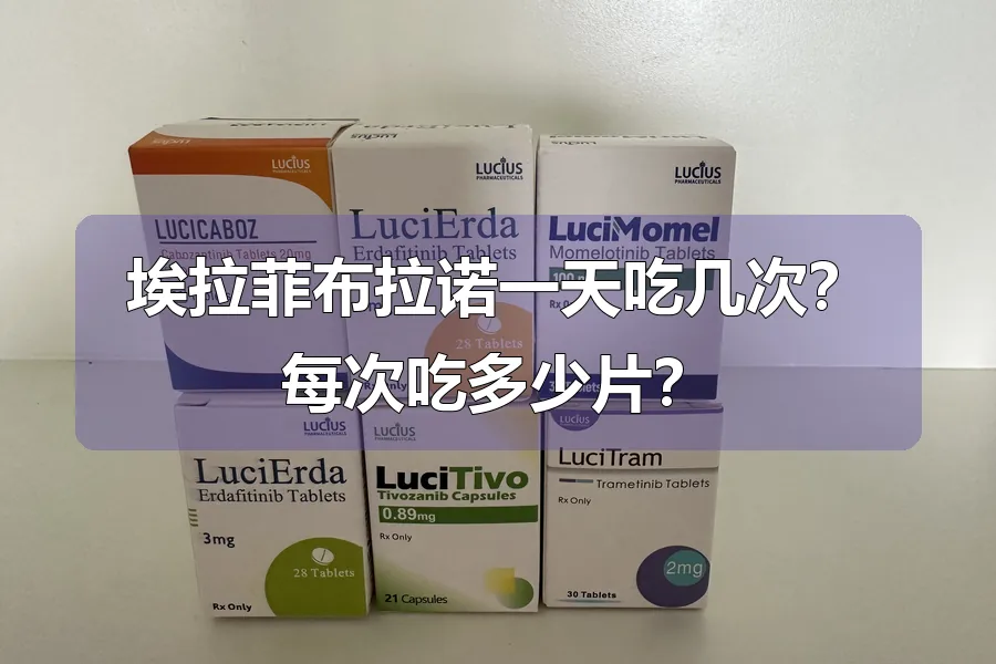 埃拉菲布拉诺一天吃几次？每次吃多少片？